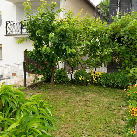 Sobe Jovan Sokobanja