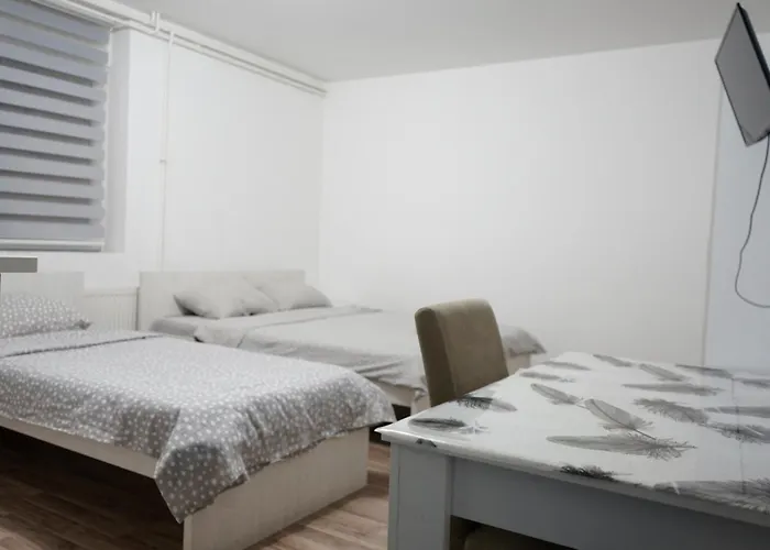 Sobe Jovan 소코 반자